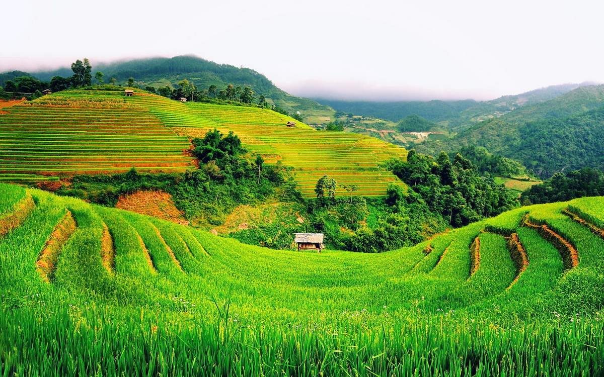 Sapa ở đâu - Sapavietnam.vn (4)